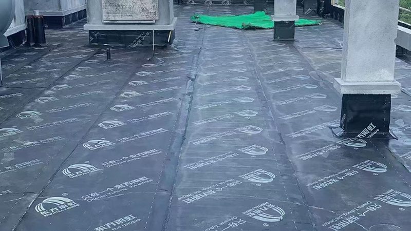 高强度聚氨酯防水涂料：揭秘其型号与规格背后的奥秘**